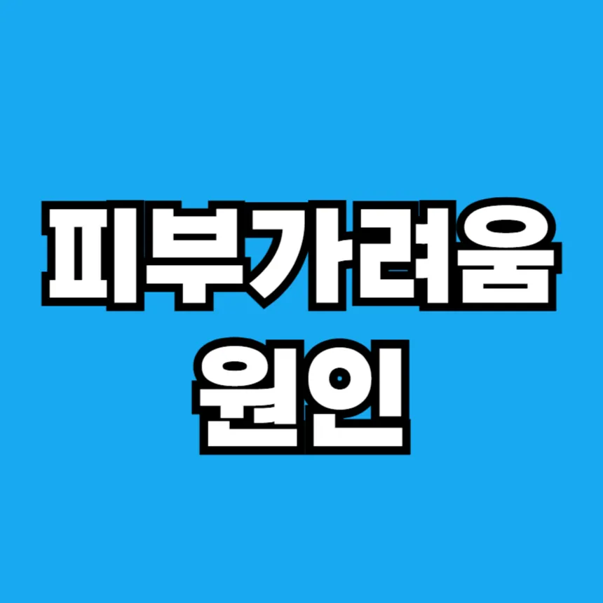 피부가려움의 원인