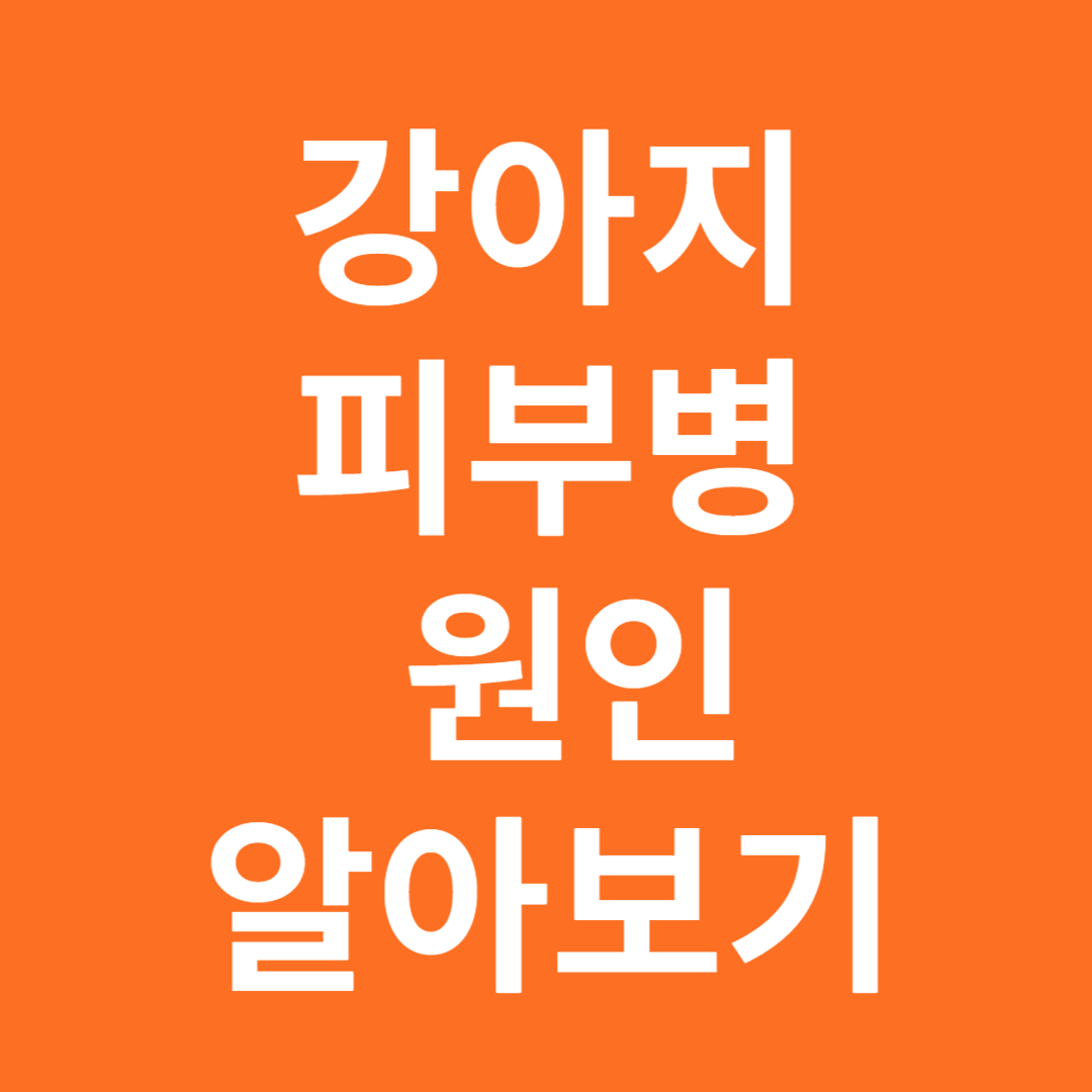 강아지 피부병 원인 알아보기