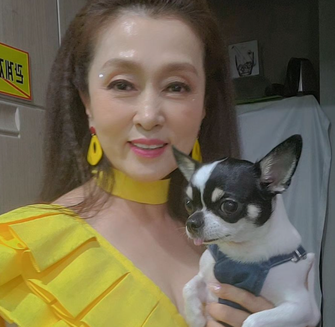 문희경 프로필