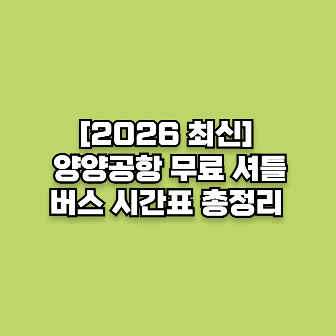 [2026 최신] 양양공항 무료 셔틀버스 시간표 총정리