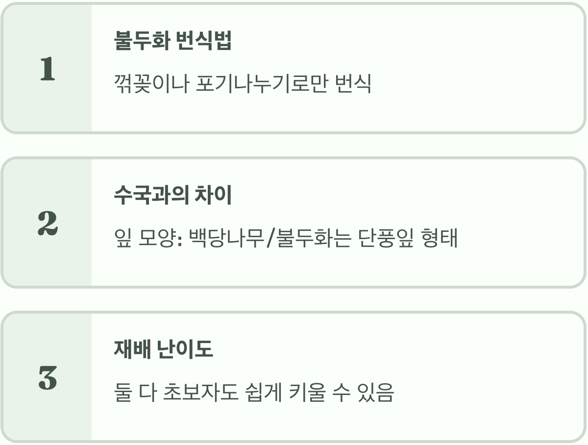 백당나무 vs 불두화, 이제 그만 헷갈리세요! (완벽 비교)