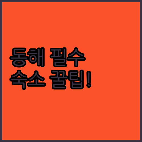 한눈에 보는 동해 호텔 펜션 추천 리..
