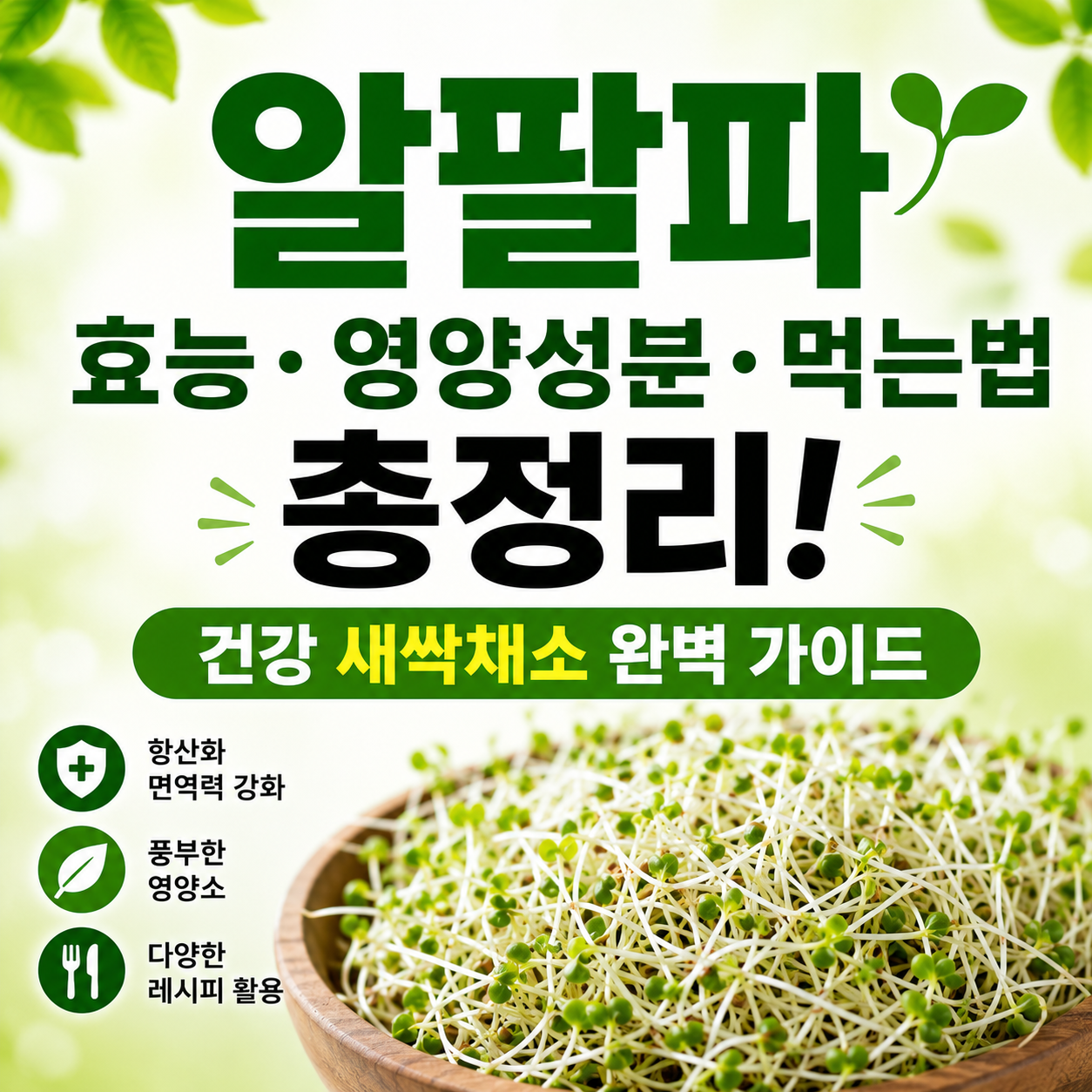 알팔파 효능
