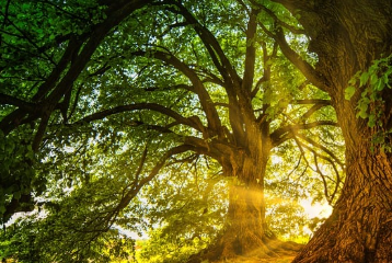 [기미&middot;잡티 고민 끝] 트라넥삼산 선크림 효능과 부작용 총정리!