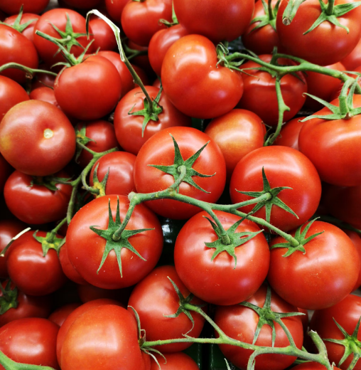 감바스 만들기3