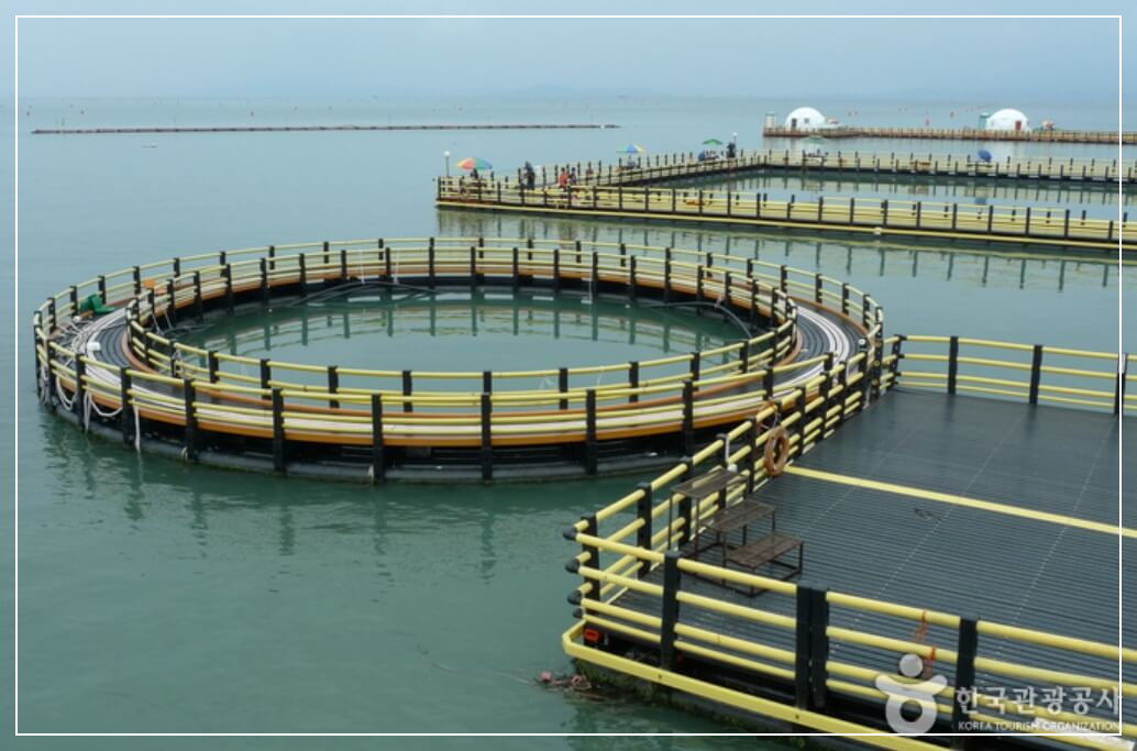 장흥 가볼만한곳 베스트10 정남진 해양낚시공원 