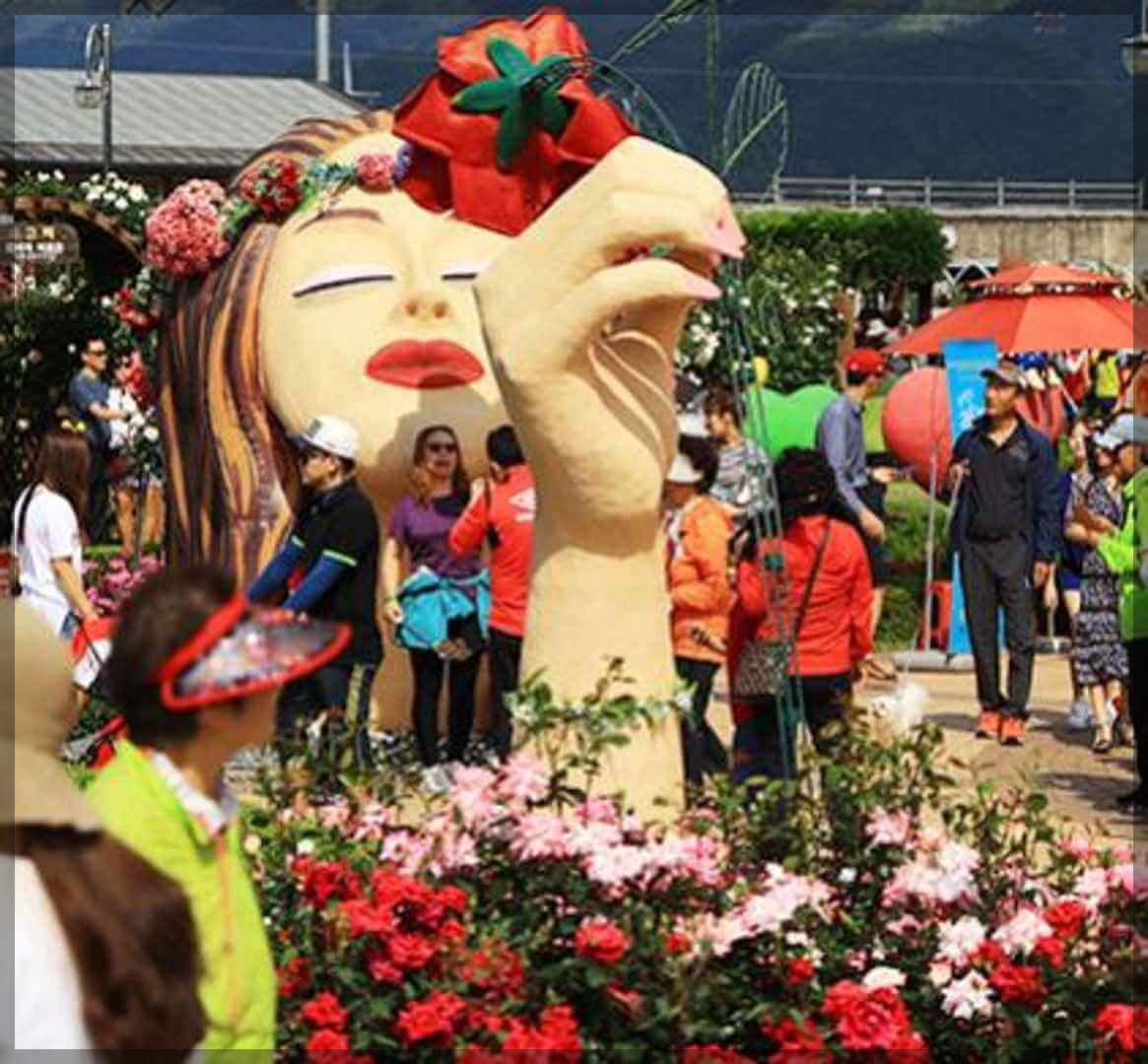 2024곡성장미축제 기간 내용 입장료 주차장 숙박[총정리]