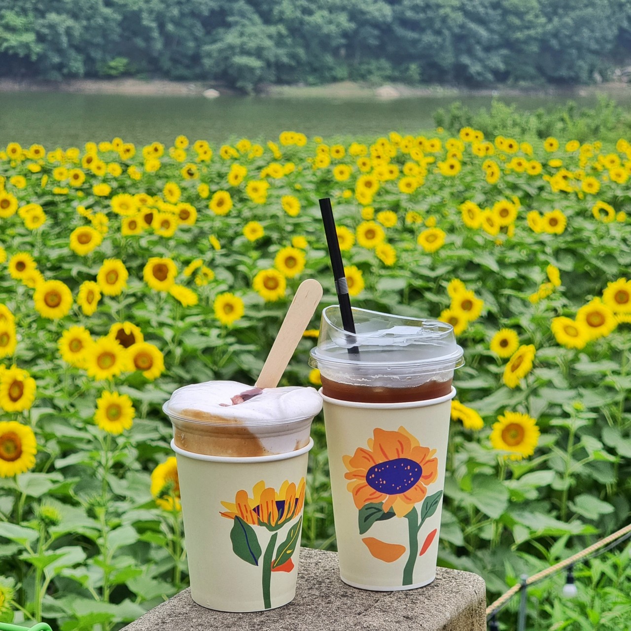 바실라 카페