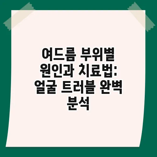 여드름 부위별 원인과 치료법: 얼굴 트러블 완벽 분석