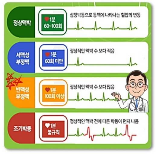 맥박의 종류