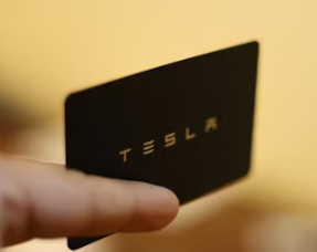 테슬라 주가 전망&amp;#44; 주가 차트&amp;#44; 하락이유