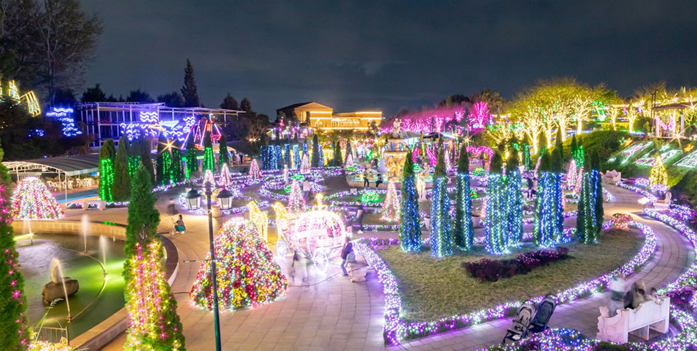파주 퍼스트가든 빛축제 별빛이 흐르는 정원