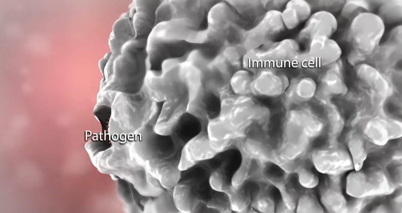 콧물이 계속 나는 이유
