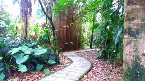 타이베이-식물원-산책로