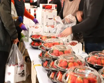 논산딸기축제_23