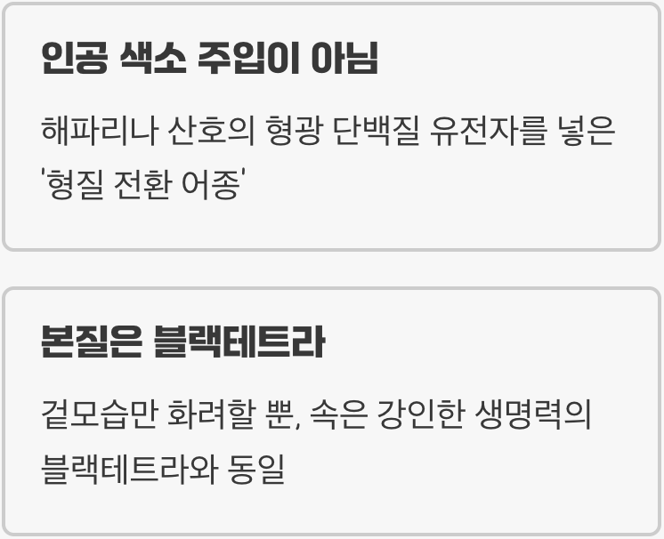 칼라테트라, 오해와 진실
