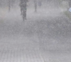 장마철 안부문자 모음집 BEST 100