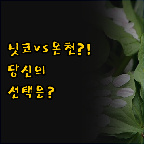 닛코 여행 접근성 중시 vs 온천 힐..