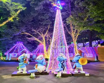 청도 프로방스 빛축제_13