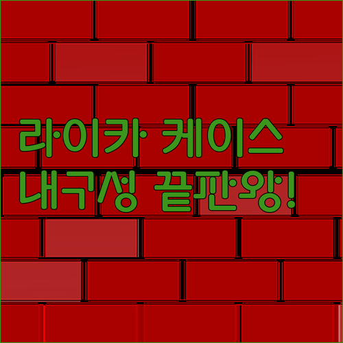배달 라이더를 위한 라이카 거치대 케..
