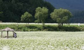 추석연휴 가볼만한 곳 전국 축제 행사