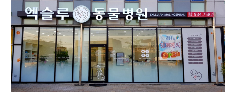 대전 대덕구 동물병원