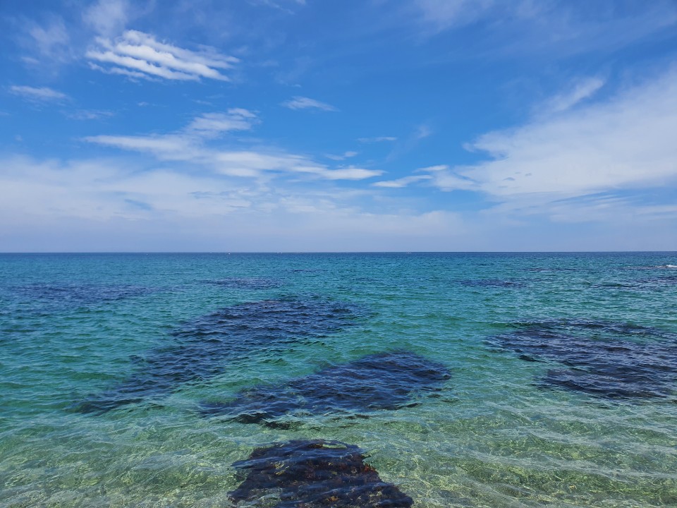 울진 고요한 바다