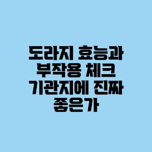 도라지 효능과 부작용 체크 기관지에 진짜 좋은가