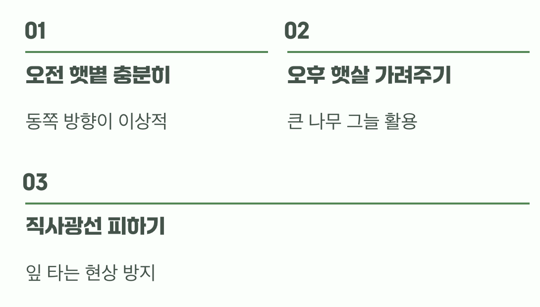 비결 2. 반그늘&amp;#44; 고향의 품을 만들어주세요
