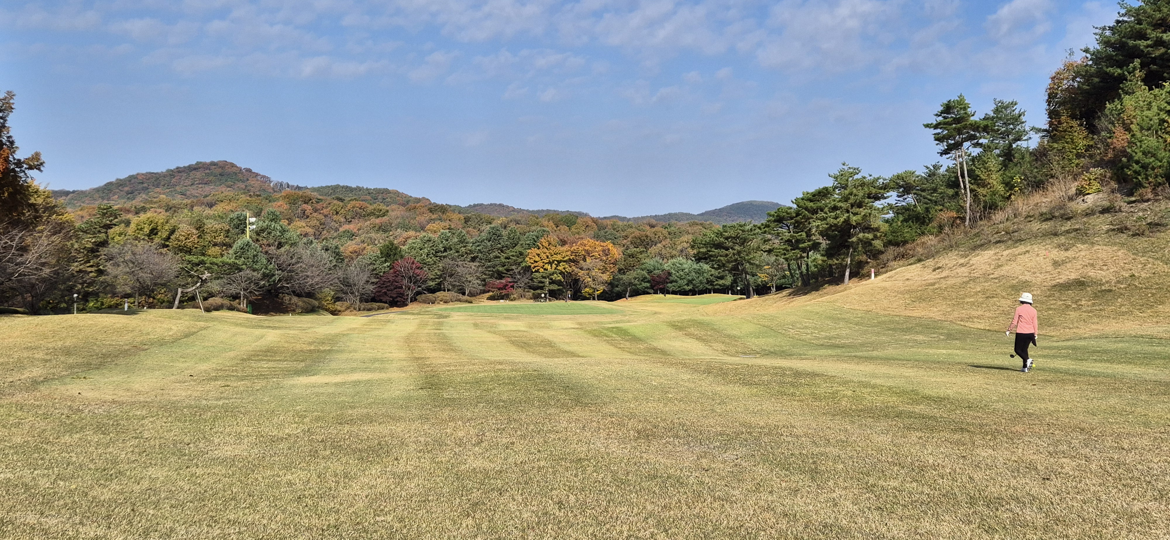 시그너스cc 실크코스 사진 및 공략 정보