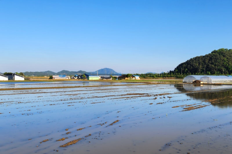 교회 수련회 장소