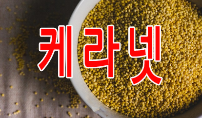 케라넷