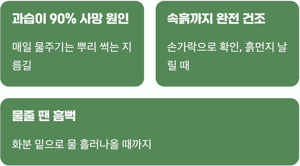물주기의 기술, 흙을 말리는 무심함