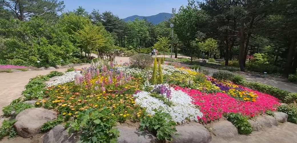 자생식물원여행