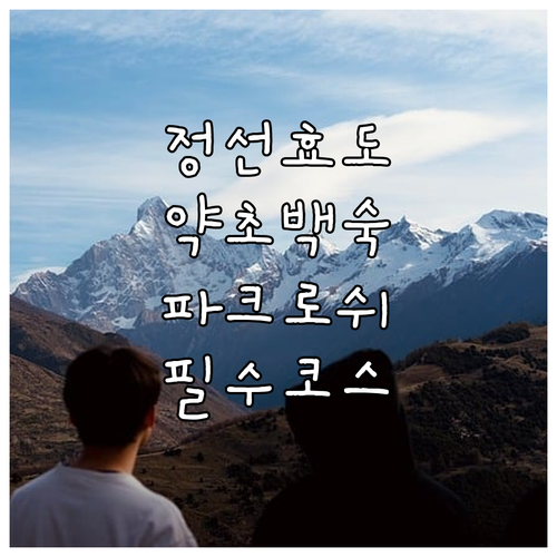 강원도 정선 효도 관광 보양식 약초 ..