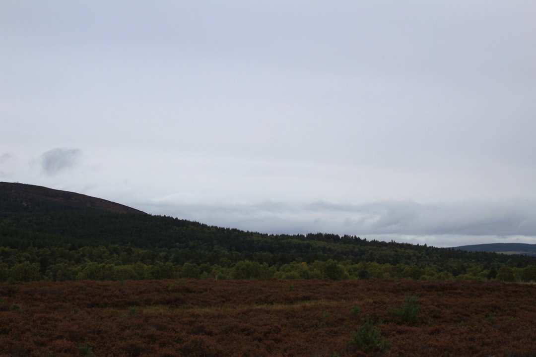 Land.