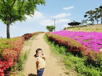 경산 가볼만한곳 베스트10 현지인 추천 필수코스_14