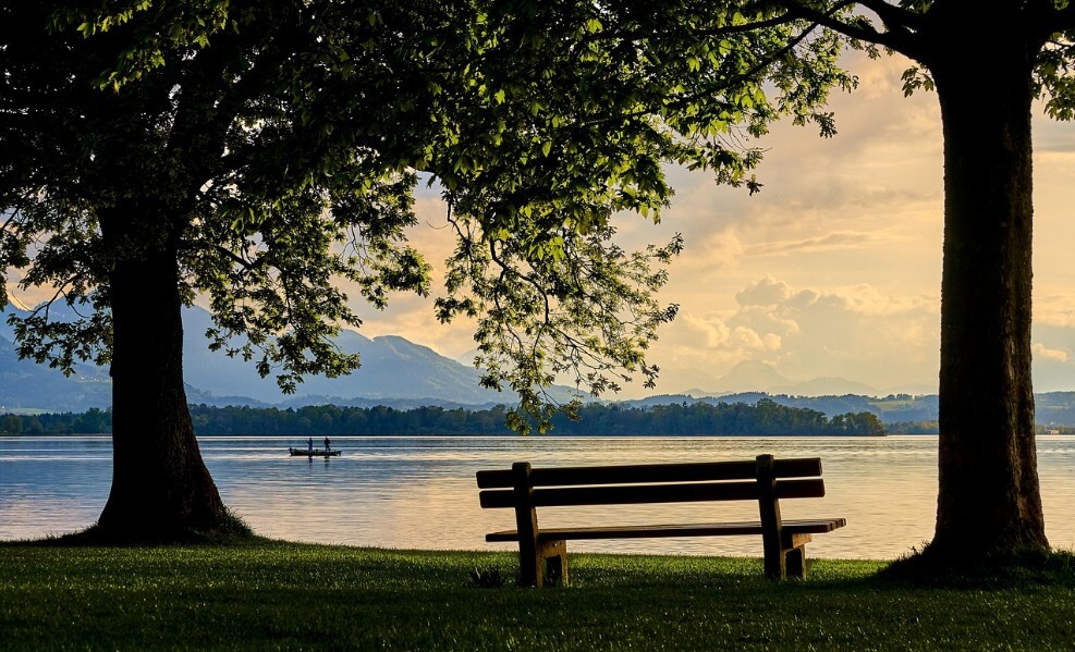 강물을 방향으로 벤치가 배치된 모습