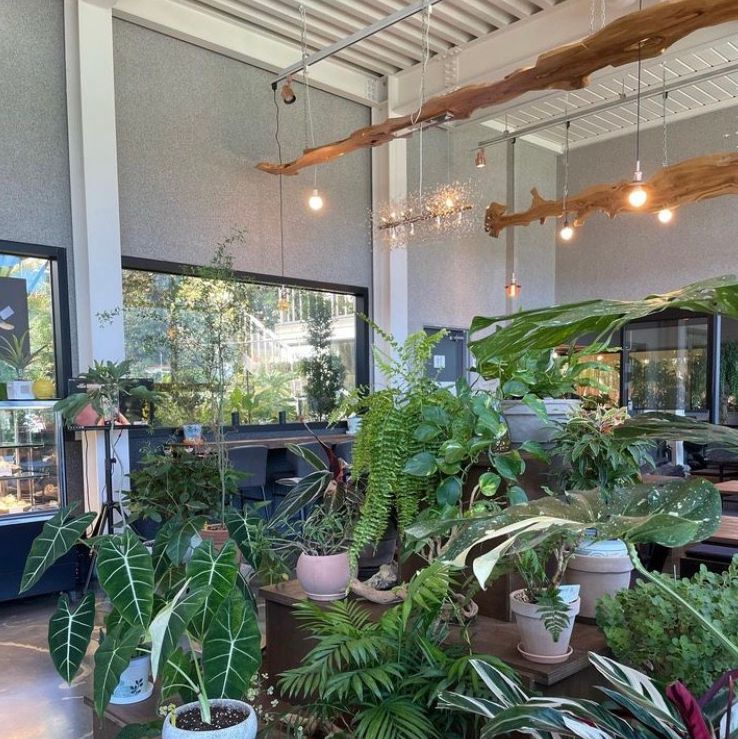 통영동백커피식물원