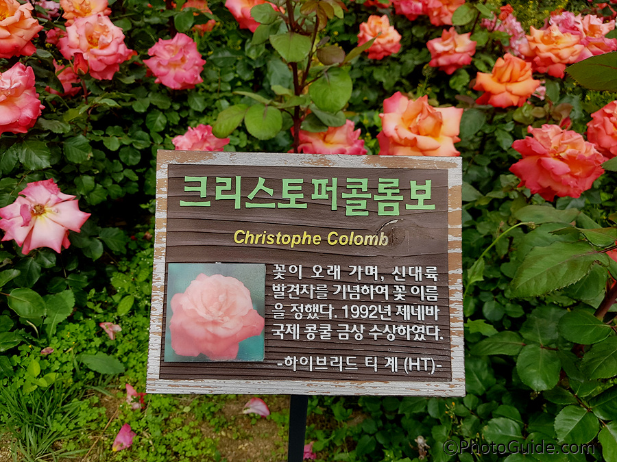 크리스토퍼콜롬보