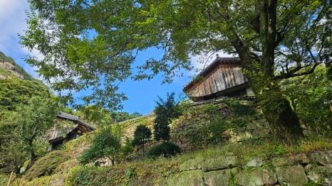 제천 무암사 : 금수산 안개 속에 숨겨진 천년 고찰 소의 전설과 신비로움을 간직한 사찰