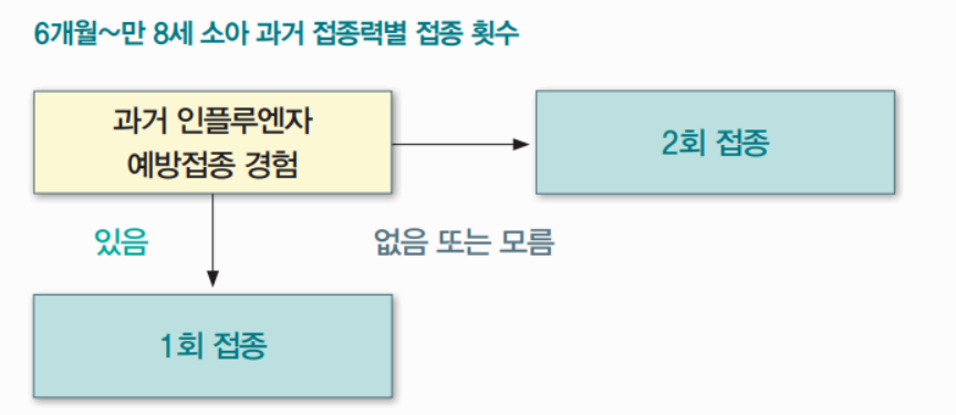 독감 예방접종 무료대상 어린이 주사 접종 횟수 사진