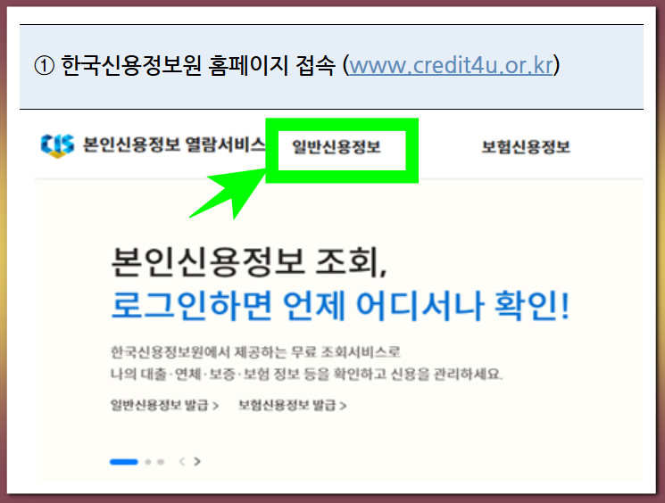 한국신용정보원 홈페이지조회