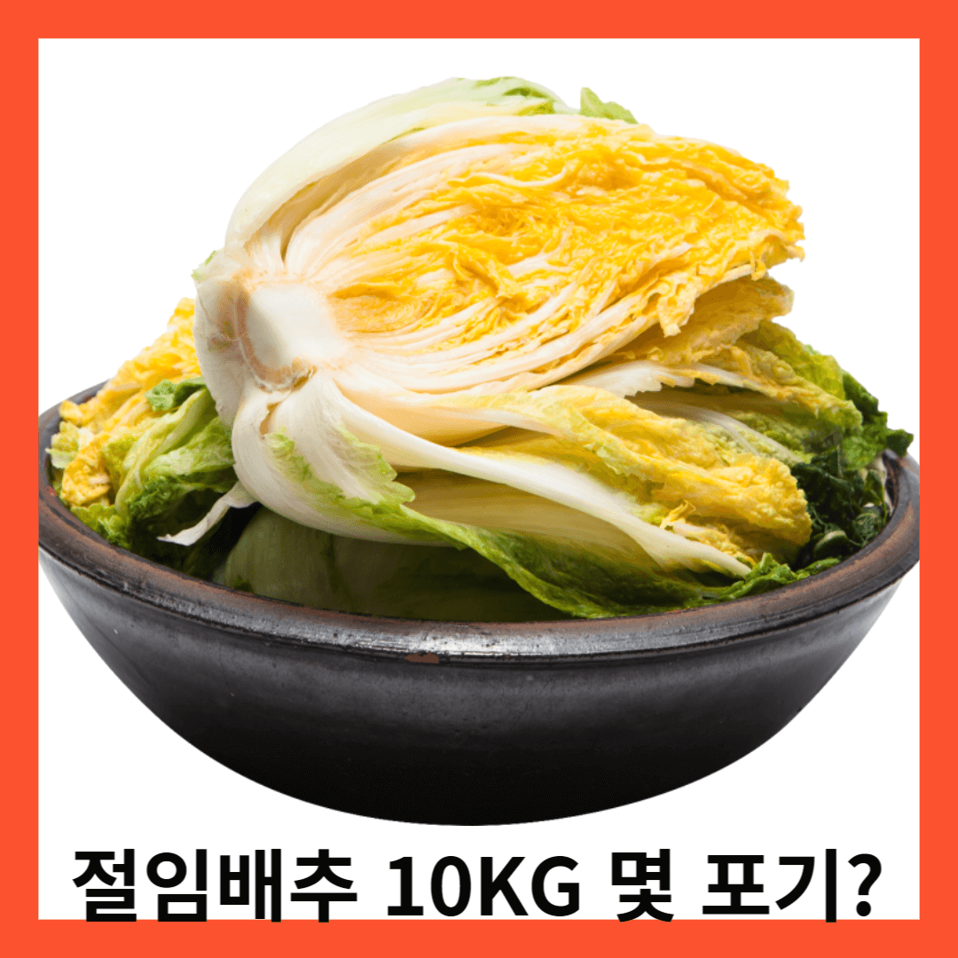 절임배추 -사진