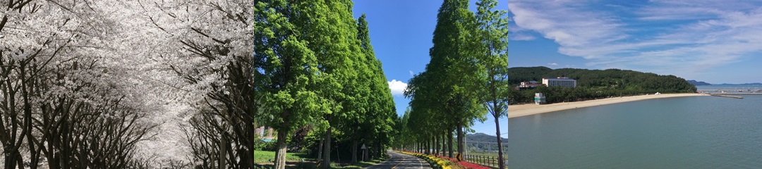 보성관광 홈페이지