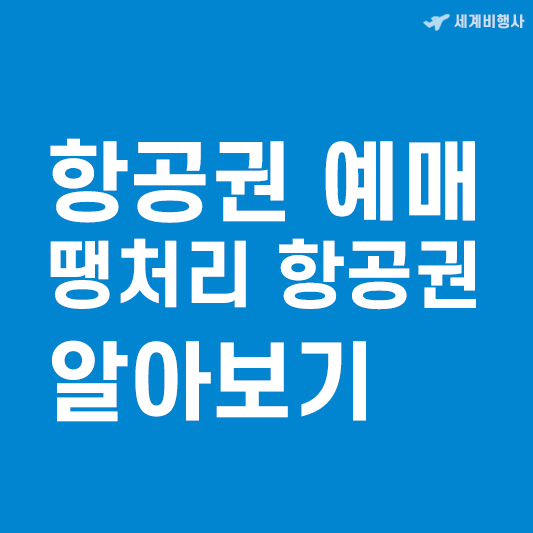 항공권 예매 땡처리 항공권 알아보기