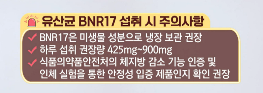 bnr17 유산균 하루 권장 섭취량 및 고르는 법