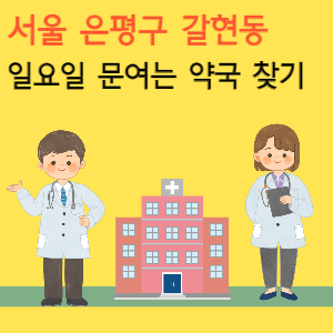 서울 은평구 갈현동 일요일 문여는 당번 약국