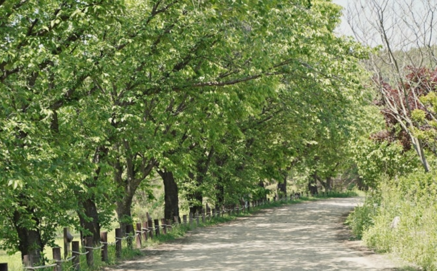 여름휴가 인기 좋은 여행지 7곳