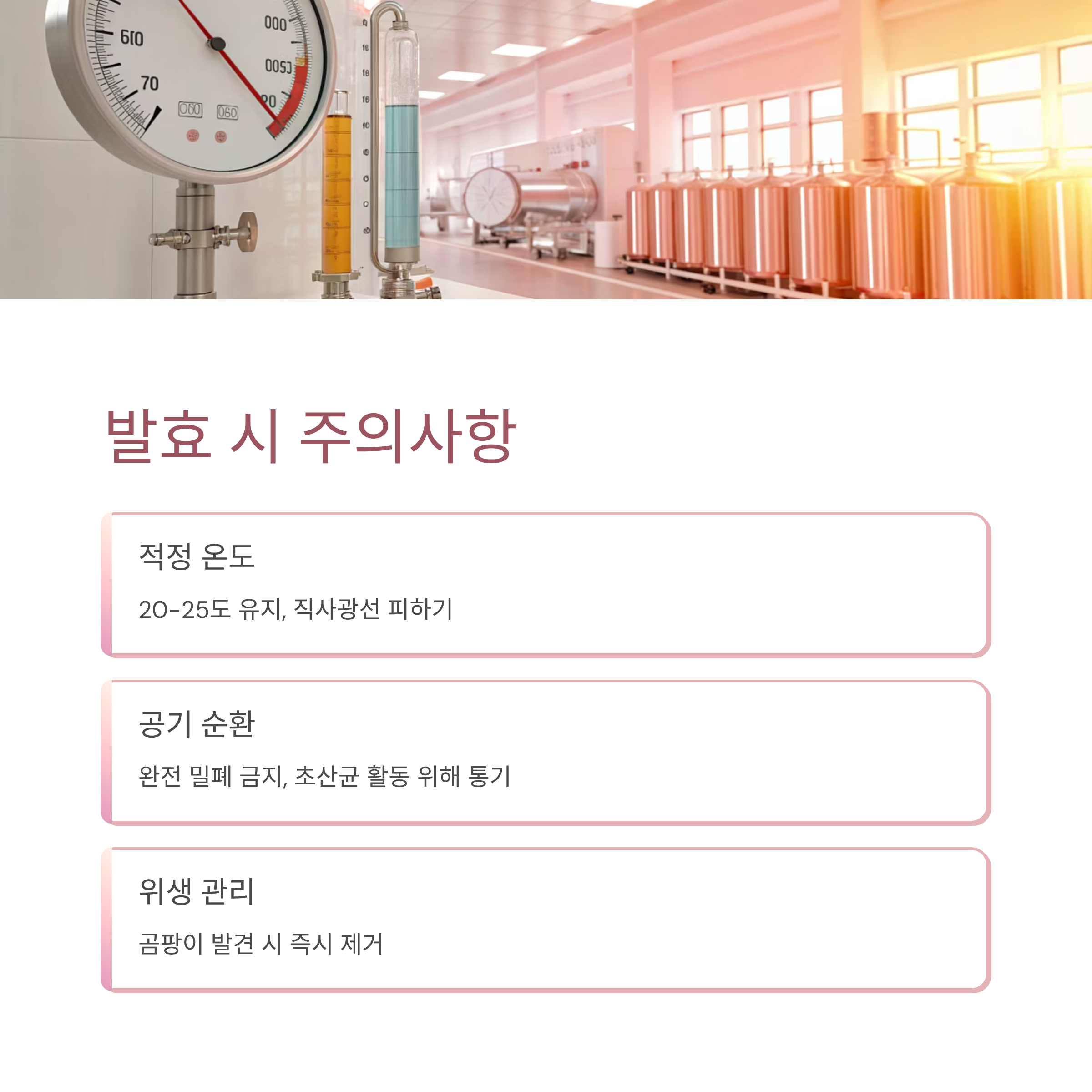 감식초 쉽게 만드는법: 집에서 천연 발효로 건강하게 만드는 완벽 가이드